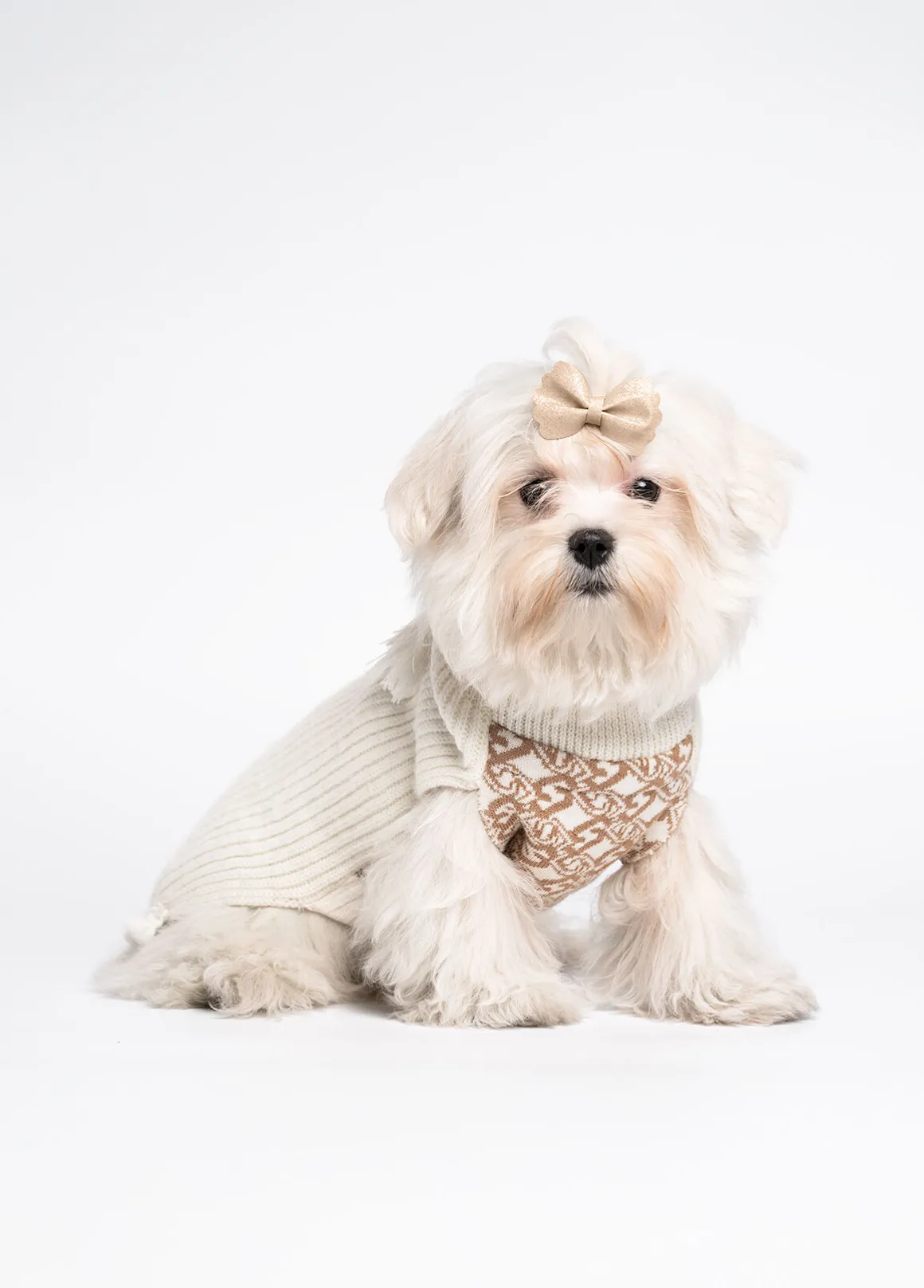 Dolcevita in lana e cashmere Liu Jo Pets
