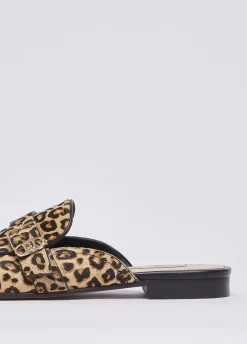 Mules in cavallino