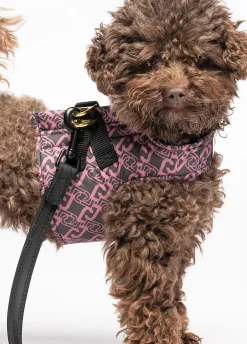 Pettorina Liu Jo Pets
