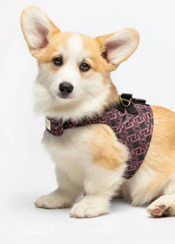 Pettorina Liu Jo Pets