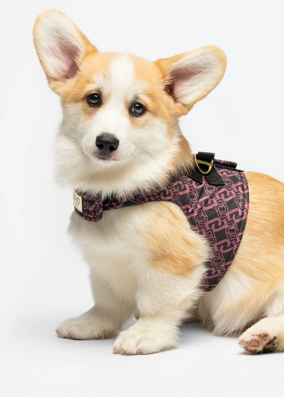 Pettorina Liu Jo Pets