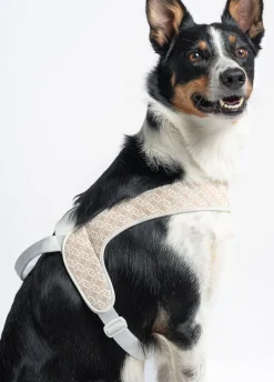 Pettorina taglia grande Liu Jo Pets
