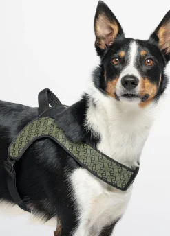 Pettorina taglia grande Liu Jo Pets