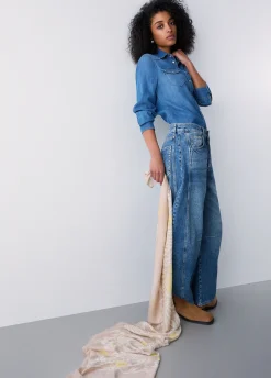 Stola zebrata